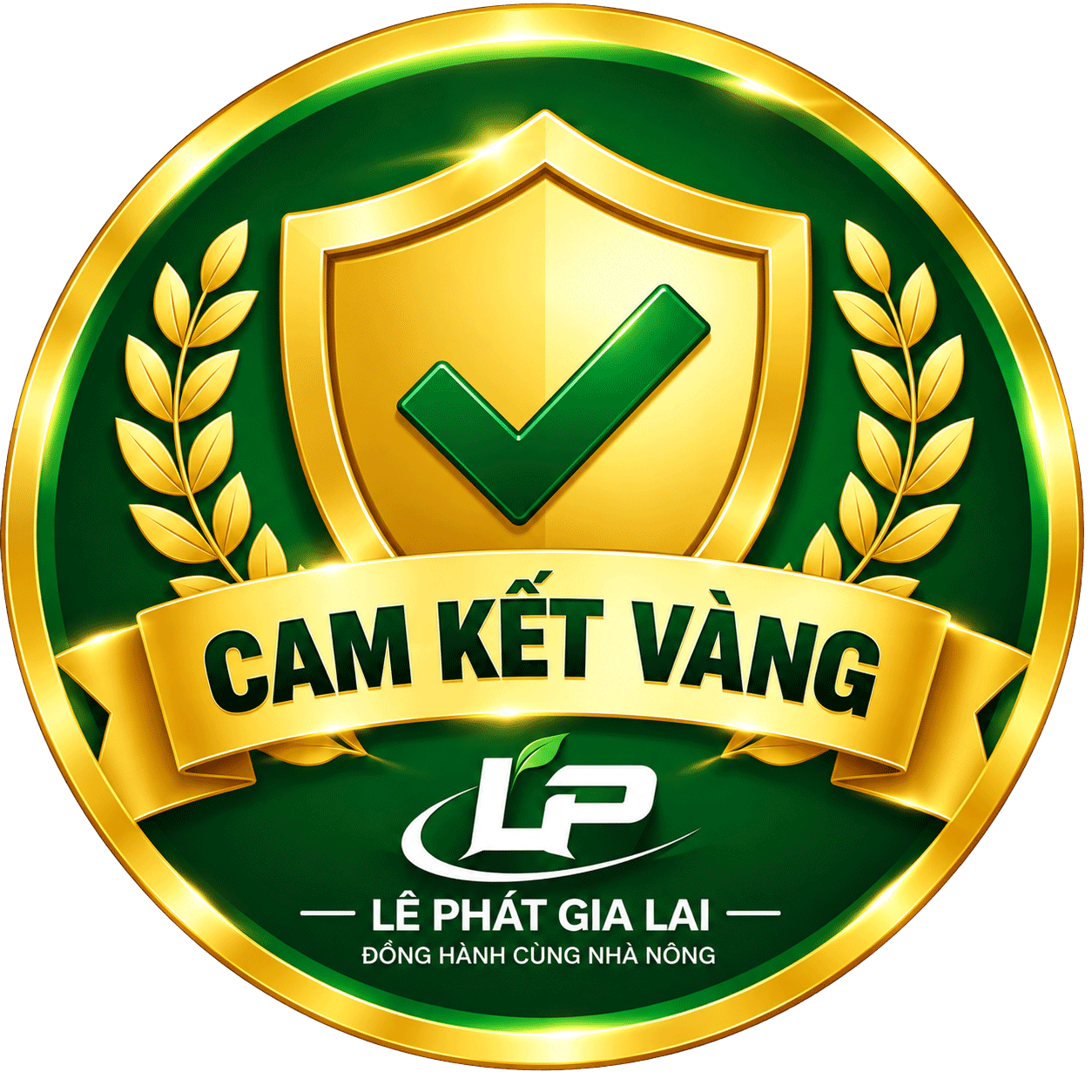 cam-ket-vang