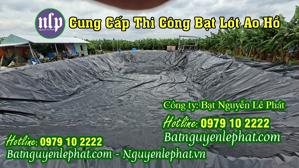 Bạt trải hồ Bạt trải hồ